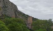 Trail Walking Saint-Jean-de-Buèges - St Jean de Buèges  - Photo 8