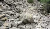 Randonnée Trail Bédoin - Ventoux par combes d’Ansis, de Fiole et de Curnier(21K 1450D+) - Photo 4