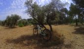 Percorso Mountainbike Saint-Rémy-de-Provence - activity_8877606926 - Photo 9