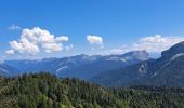 Randonnée Marche Sarcenas - la Pinéa du col de Portes - Photo 6