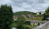 Randonnée Marche Arcy-sur-Cure - Arcy sur cure - Boucle des grottes - Photo 4