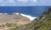 Randonnée Marche Anse-Bertrand - Porte d'Enfer - Pointe du Souffleur - Photo 6