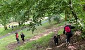 Trail Walking Habay - Mageroy ADEPS 2022 10 km - Photo 17