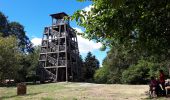 Percorso A piedi Deux-Grosnes - Mont Saint-Rigaud (14 km - D. 447 m) - Photo 1