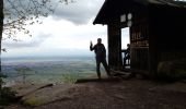 Trail On foot Saint-Nabor - Circuit autour du Mont Ste Odile - Photo 9