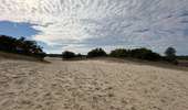 Tour Wandern Loon op Zand - Loonse Park Roestelberg 22,8 km - Photo 9