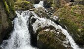 Trail Walking Le Tholy - Les 2 cascades du Tendon (grand tour) - Photo 5