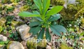 Randonnée Marche Buoux - Sivergues - Photo 14