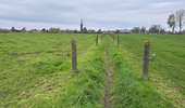 Trail Walking Brunehaut - Hollain 16,2 km - Photo 3