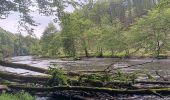 Trail Walking Houffalize - Le herou . Le chesle - Photo 5