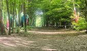 Trail Walking Canteleu - Forêt monumentale - Photo 17