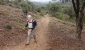 Tocht Stappen Fréjus - N.D de Jérusalem - Photo 3