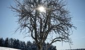 Tour Zu Fuß Bodnegg - Rundwanderweg 2 der Gemeinde Bodnegg - Photo 9