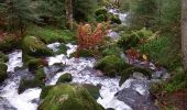 Randonnée Marche Gérardmer - gerardmer saut de la bourrique cascade merel - Photo 3