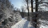 Trail Nordic walking Habscht - Eischen - Septfontaines - Photo 2