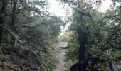 Trail Walking Laroque-des-Albères - laroque . fontaine dels simino - Photo 3