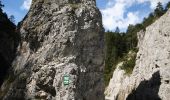 Tour Zu Fuß Ramsau am Dachstein - Sattelberg Rundweg 