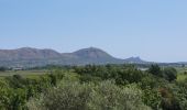 Trail Walking Gualta - Gualta 100725 - Photo 12