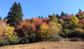 Tour Wandern Megève - megeve jaillet - Photo 2