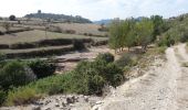 Trail On foot Manresa - M3 - Itinerari Els pous de glaç i la riera de Guardiola - Photo 3
