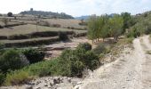 Percorso A piedi Manresa - M3 - Itinerari Els pous de glaç i la riera de Guardiola - Photo 3