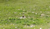 Tocht Stappen Tignes - Palafour vers aiguille percée  - Photo 1