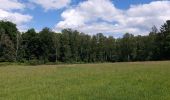 Tour Wandern Beauraing - Froidfontaine 010522 - Photo 10