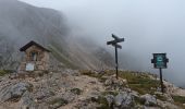 Trail On foot Cortina d'Ampezzo - IT-28 - Photo 5