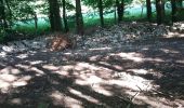 Trail Walking Marolles-en-Hurepoix - Marolles Bois 5 km 7-05-2020  - Photo 1