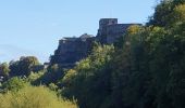 Tocht Stappen Bouillon - rando rochehaut 8/09/2020 - Photo 11