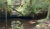 Tour Wandern Lagleygeolle - Lagleygeolle - Le Pescher - Photo 4