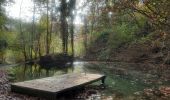 Tour Wandern Echternach - mullerthal e1 - Photo 4