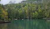 Tocht Stappen Passy - J27 - R25 - 🍂🍁 Plaine-Joux - Les Ayères  - Lac Vert 🍁🍂
 - Photo 20