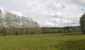 Tour Wandern Sprimont - autour du domaine des bruyères  - Photo 1