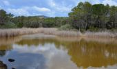 Trail Walking Puget-sur-Argens - La Lieutenante - Circuit des étangs - Photo 2