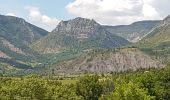 Excursión Senderismo La Motte-Chalancon - LA MOTTE CHALANCON - LE PLATEAU DE LA CHAU - Photo 1