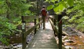 Trail Walking Eupen - Ternell -Eupen - Photo 16