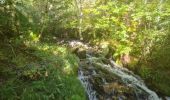 Randonnée Marche nordique Les Salces - Boucle du Loup depuis les Salces - Photo 20