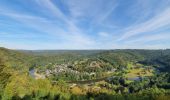 Tour Wandern Vresse-sur-Semois - rando laforêt 6/08/2020 - Photo 16