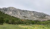 Tour Wandern Saint-Antonin-sur-Bayon - Croix de Provence par le Pas de la Savonnette  - Photo 1