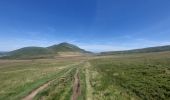 Tocht Stappen Chambon-sur-Lac - Col de la Croix Saint Robert - Puy du Sancy - Photo 8