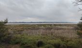 Tocht Stappen Narbonne - Port la Nautique  - Photo 4