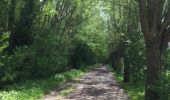 Trail Walking Menin - SityTrail - Compostelle - Nord 2 - Photo 7