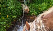 Tour Reiten Mollkirch - 2023-05-28 Picnic CVA Cabane des 5 routes - Photo 5