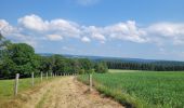 Trail Walking Houffalize - rando ornitho engreu  8-06-2023. - Photo 4