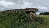 Excursión Senderismo Brissac-Loire-Aubance - St Rémy la Varenne - Gennes - Photo 4