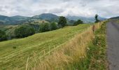 Tour Wandern Thiézac - Moulin de Nierveze La grange de Dévézou - Photo 2