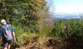 Trail Walking Saint-Léger-sous-Beuvray - 190920-Morvan-3 - Photo 11