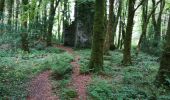 Trail Walking Conamara Municipal District - Ballykine loop  - Photo 3