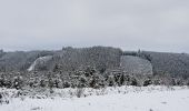 Randonnée Marche Stavelot - Hockai - Le Trôs Maret - La Fagne du Fraineu - Photo 3